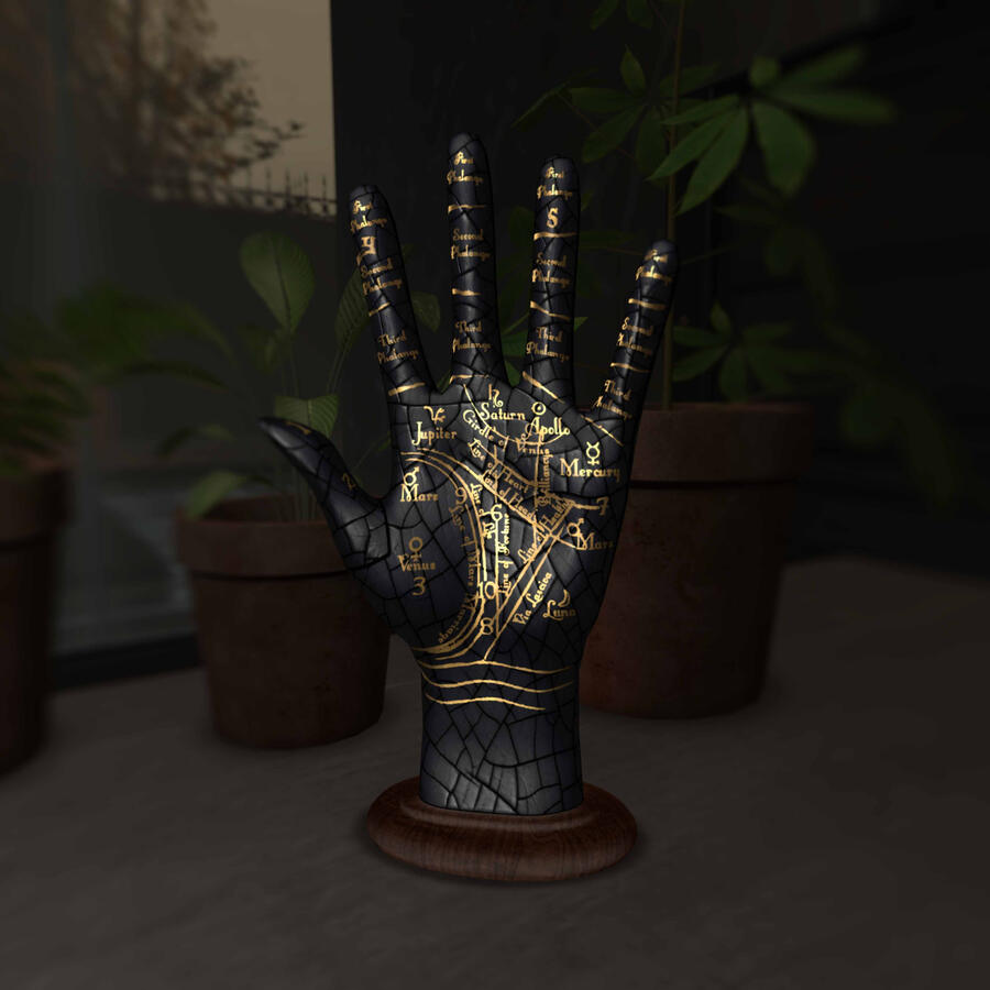 Palmist